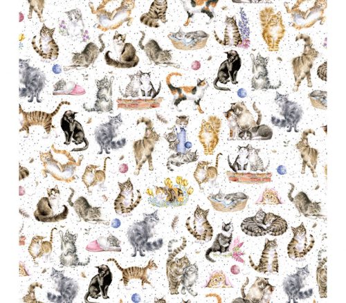 Whiskers & Paws Cats Directional on White